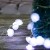 Tiny Shell Shaped Lights 2M 20 Led String Lights for Holiday Decoration