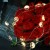 Valentine's Day Special Diamond Shaped Led String Lights 20 pcs Warm White Lights