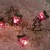 Battery Operated LED String Lights 20 pcs Grape Shaped Warm Lights