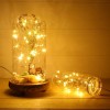 2AA Battery Powered Copper Wire Led String Lights