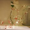 2M Long Warm White Led Fairy String Lights with Red Pearl