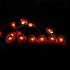 Carnival Decoration Fruit Lights Cherry Shaped Led String Lights 3AA Battery Operated with Remote ControlCarnival Decoration Fruit Lights Cherry Shaped Led String Lights 3AA Battery Operated with Remote Control