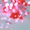 Romantic Sexy Lip Shaped Led Fairy String Lights 20 pcs Warm White Micro Rice Lights