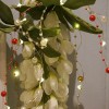 2M Long Warm White Led Fairy String Lights with Red Pearl