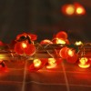 Carnival Decoration Fruit Lights Cherry Shaped Led String Lights 3AA Battery Operated with Remote Control