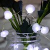 Tiny Shell Shaped Lights 2M 20 Led String Lights for Holiday Decoration