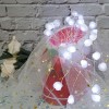 Tiny Shell Shaped Lights 2M 20 Led String Lights for Holiday Decoration