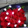 Tiny Shell Shaped Lights 2M 20 Led String Lights for Holiday Decoration