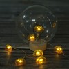 2M 20Leds Remote Controlled 3AA Battery Operated Jackfruit Shaped Led String Lights