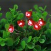 Romance Heart Shaped Led String Lights 20 pcs Warm White Lights for Valentine's Day Decoration