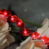 Romantic Sexy Lip Shaped Led Fairy String Lights 20 pcs Warm White Micro Rice Lights