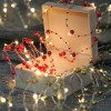 2M Long Warm White Led Fairy String Lights with Red Pearl