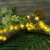 2M 20Leds Remote Controlled 3AA Battery Operated Jackfruit Shaped Led String Lights