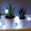 Fancy Cool White Sea Shell Shaped 20 Led Fairy String Lights for Bedroom Decoration