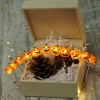 Halloween Themed Decorative Lights Pumpkin Shaped Led String Lights 2M/20Leds Warm White Lihgts