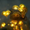 2M 20Leds Remote Controlled 3AA Battery Operated Jackfruit Shaped Led String Lights