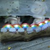 2M 20Leds Warm White Led String Lights with Cloud and Rainbow Shaped for Home Decoration