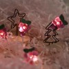 Battery Operated LED String Lights 20 pcs Grape Shaped Warm Lights