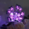 Battery Operated LED String Lights 20 pcs Grape Shaped Warm Lights