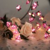 Battery Operated LED String Lights 20 pcs Grape Shaped Warm Lights