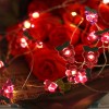 Battery Operated LED String Lights 20 pcs Grape Shaped Warm Lights