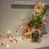 2M Long Warm White Led Fairy String Lights with Red Pearl