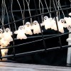 2M/20LED Battery Powered White LED String Lights with Ghost Shaped