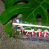 Special Christmas Gift Box Shaped Led Fairy String Lights 20 Leds Warm White Lights