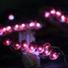 20 Warm White Lights Strawberry Shaped Led String Lights for Holiday Decoration