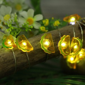 2M 20Leds Remote Controlled 3AA Battery Operated Jackfruit Shaped Led String Lights