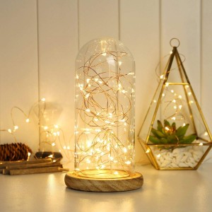 2AA Battery Powered Copper Wire Led String Lights