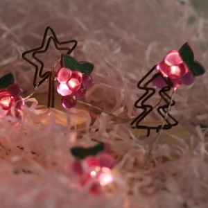Battery Operated LED String Lights 20 pcs Grape Shaped Warm Lights