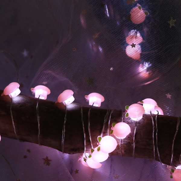 2M 20Leds Warm White Honey Peach Shaped Led String Lights for Holiday Decoration