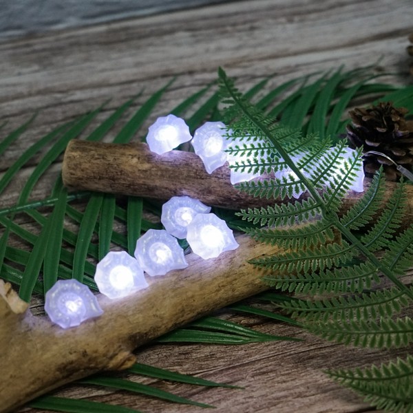 Remote Controlled 3AA Battery Operated Sea Conch Shaped Led String Lights 20 Cool White Lights