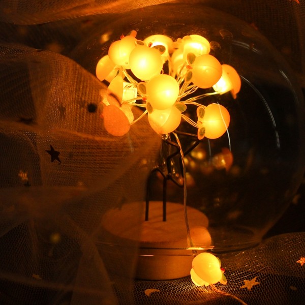 2M 20Leds Warm White Honey Peach Shaped Led String Lights for Holiday Decoration