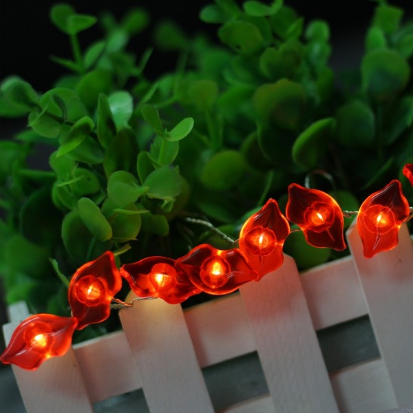 Romantic Sexy Lip Shaped Led Fairy String Lights 20 pcs Warm White Micro Rice Lights