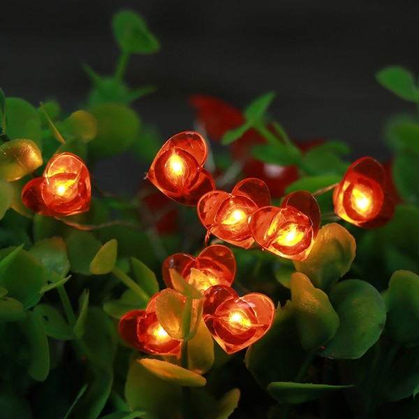 Romance Heart Shaped Led String Lights 20 pcs Warm White Lights for Valentine's Day Decoration